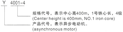 西安泰富西玛Y系列(H355-1000)高压YJTFKK4002-2三相异步电机型号说明