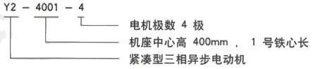 YR系列(H355-1000)高压YJTFKK4002-2三相异步电机西安西玛电机型号说明